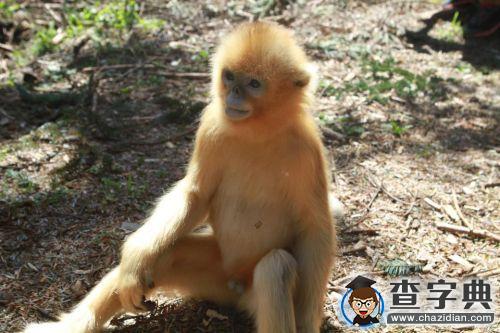 華中農業大學園林院學術年會展現光影科研路3