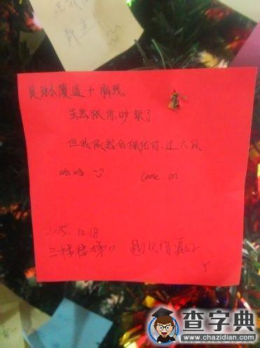 井大圣誕樹結滿愿望果實2
