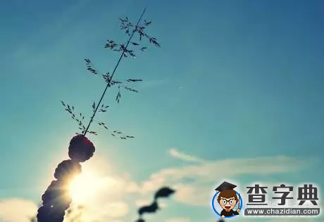 濱州學院：考研來了，你準備好了嗎3