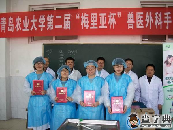 青島農大舉辦獸醫臨床外科手術專業技能大賽2