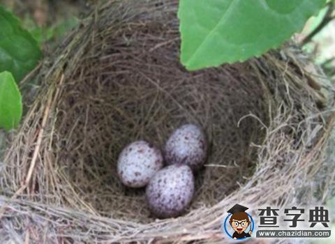 2015十大教育新聞：探討事件背后 感知中國教育2