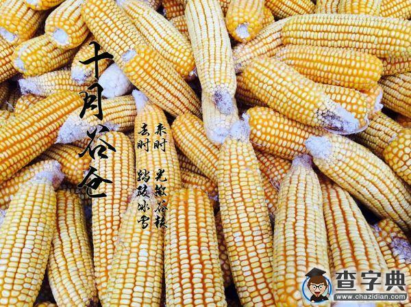 [我的青春]蘇徐航：來時 去時5