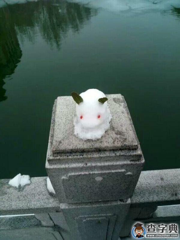雪后的渤大：你負責美 我們負責除雪8