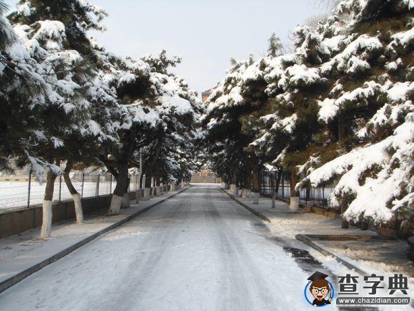 雪后的渤大：你負責美 我們負責除雪1