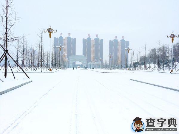 雪后的渤大：你負責美 我們負責除雪3