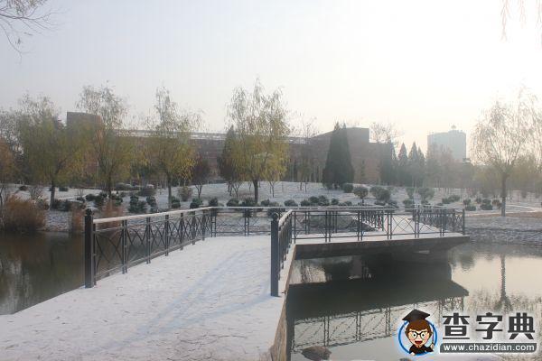 遇見 濱州學院初雪7