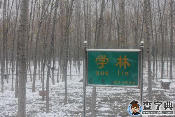 遇見 濱州學院初雪4