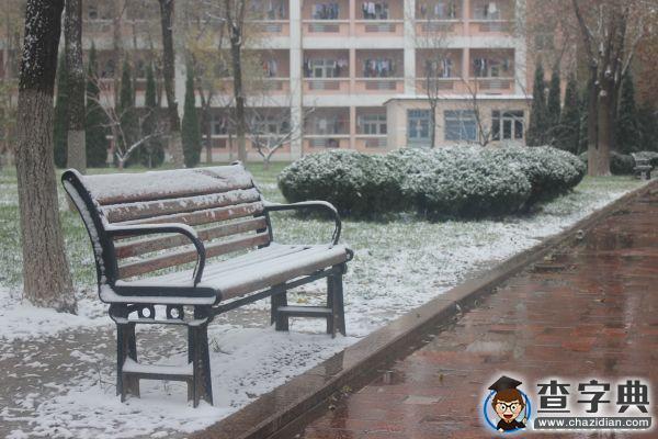 遇見 濱州學院初雪6