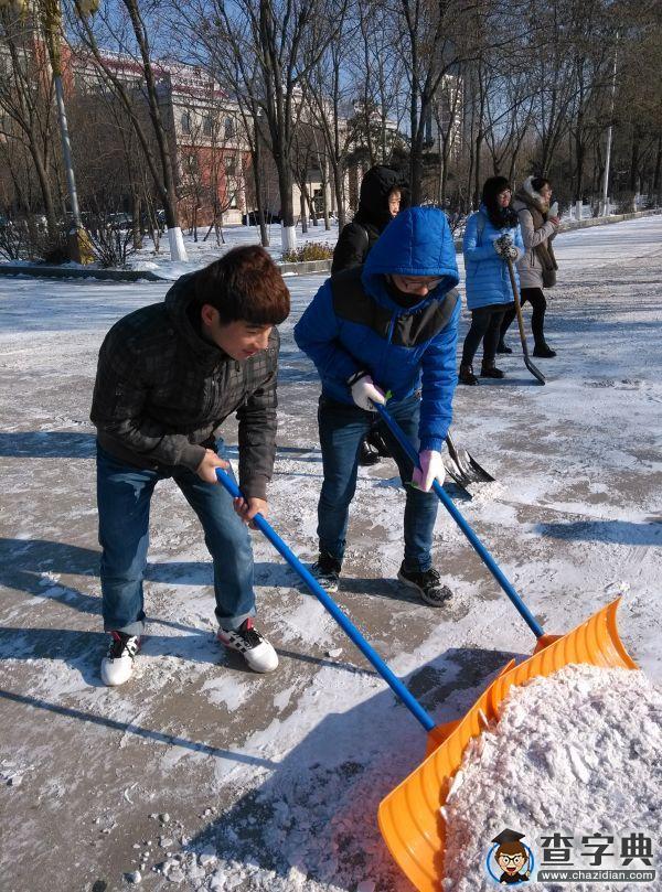雪后的渤大：你負責美 我們負責除雪5