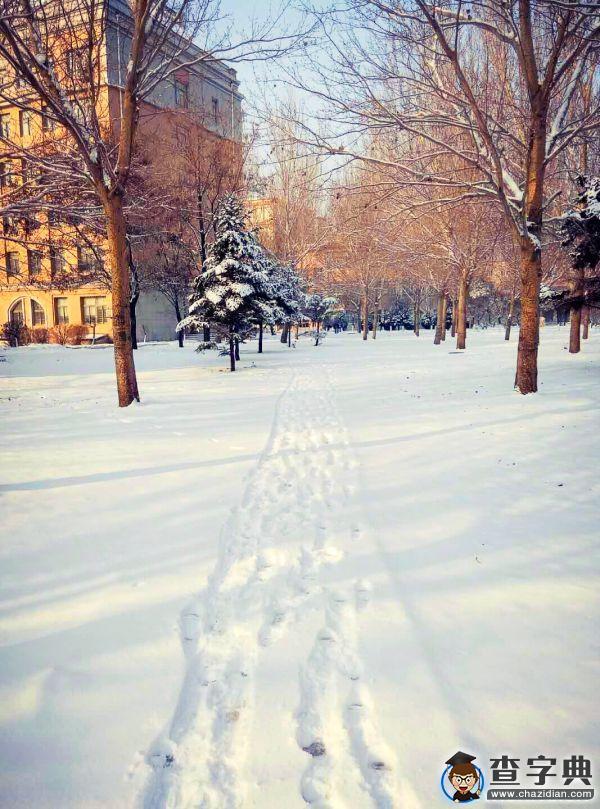 雪后的渤大：你負責美 我們負責除雪4