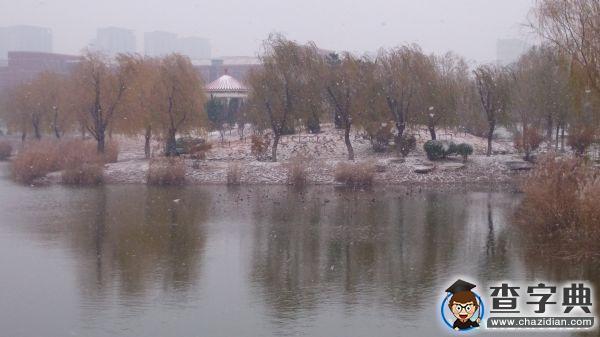 遇見 濱州學院初雪1