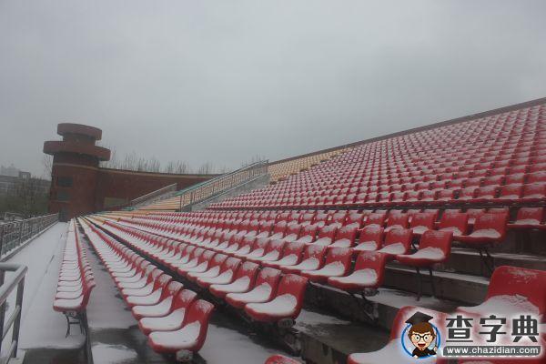 遇見 濱州學院初雪5