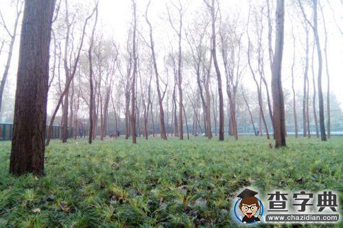 上海交大后勤保障處全面落實“一門式”工作3