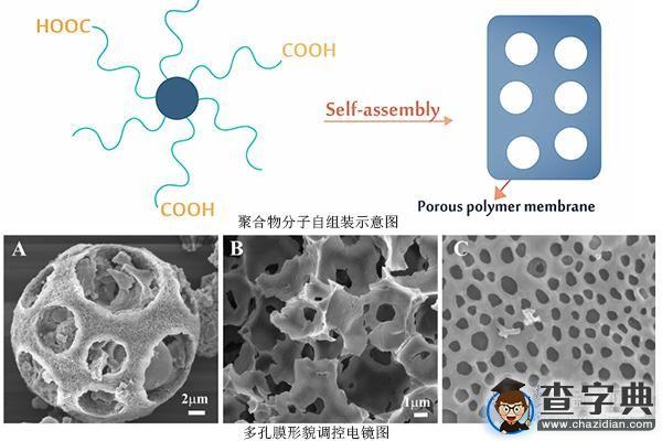 華南理工團隊在國際生物大分子設計競賽上獲佳績1