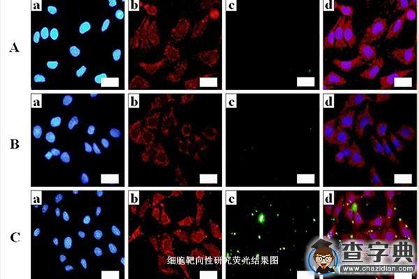 華南理工團隊在國際生物大分子設計競賽上獲佳績2
