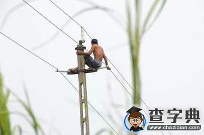 專業漫話 | 你是光，你是電，你是……5