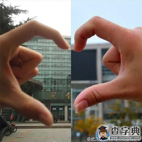 “11.11”駕到　理工學子別樣狂歡4