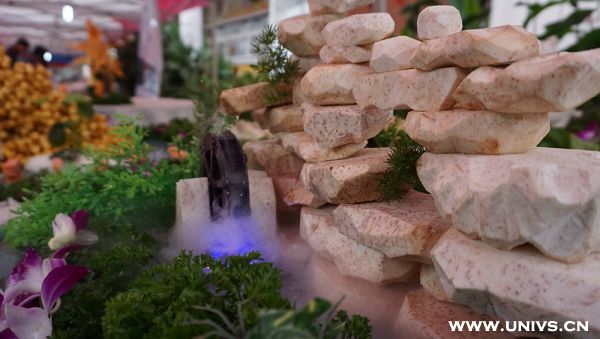 舌尖上的臨大：有故事的菜肴1