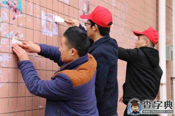 西華師大300余名青年志愿者進社區 老舊小區換新顏2