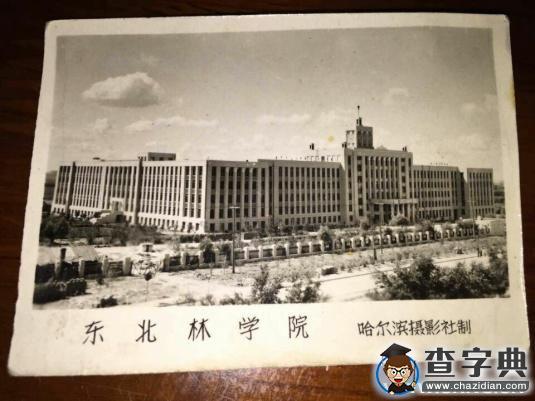 爺爺媽媽爸爸和我—— 一家人的東北林業大學校友1