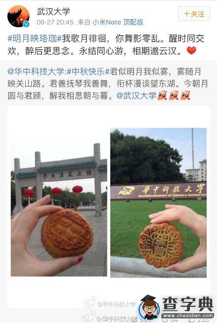 武大華科光棍節“眉來眼去”校友高呼“在一起”3