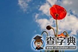 失落，曾給我的那記耳光3