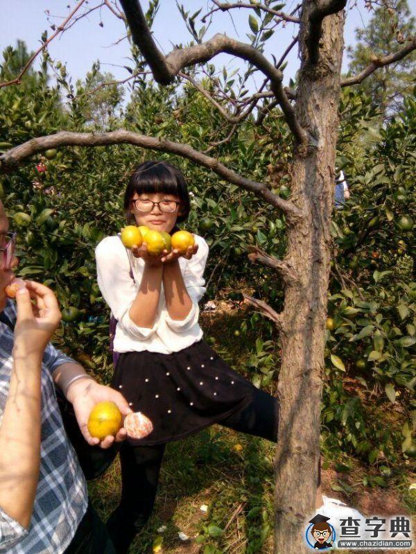 井大網通站游橘園2