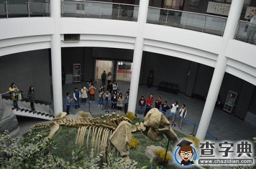 蘭州大學藝術學院組織2015級新生參觀校史館1