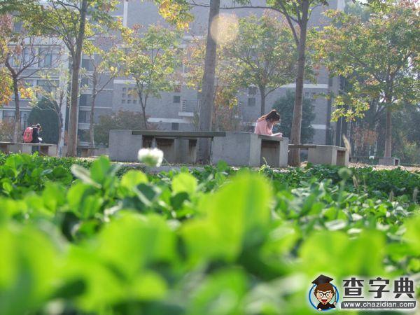 泰醫學霸告訴你：如果不讀書 行萬里路也只是個郵差2