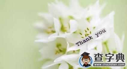 要回家了 這些，打包好！10