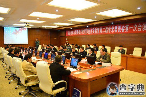哈工程專家把脈超輕材料與表面技術教育部重點實驗室建設1
