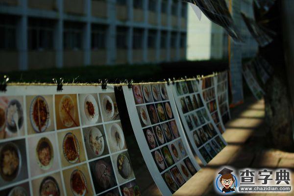 井大“剩食”攝影展2