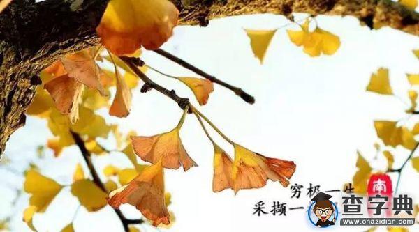 石大版《南山南》，把石大唱給你聽！7