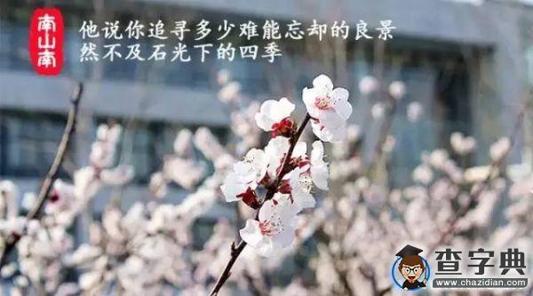 石大版《南山南》，把石大唱給你聽！15