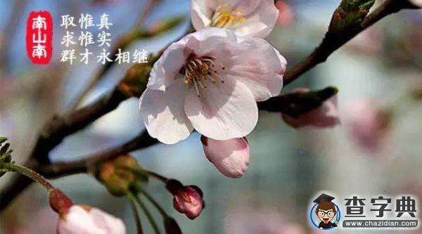 石大版《南山南》，把石大唱給你聽！29