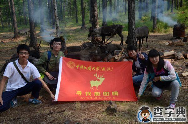 中國地質大學（武漢）“尋找鹿圖騰”社會實踐團隊f赴根河市開展“敖魯古雅民族文化調查與保護”活動1