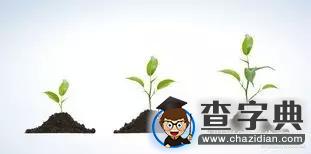 濱州學院：聽說你來了 學長學姐有秘密說給你聽5