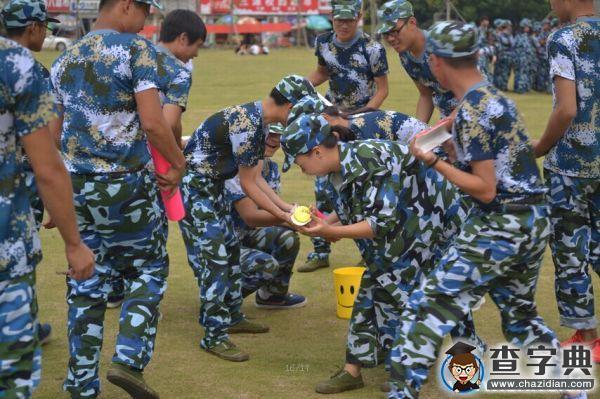 武昌理工學院將素質拓展納入軍訓受新生追捧4