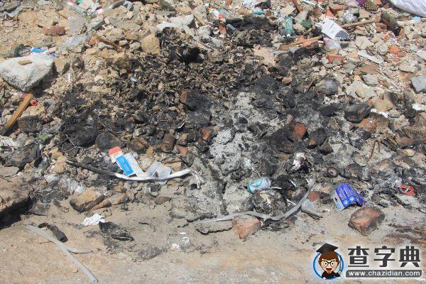 海島垃圾搬運行動遇尷尬  為何公益環保倡議難落地？2