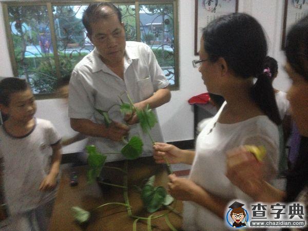 浙里正青春|如何種好甘薯?農林學子來支招2