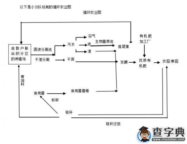 豬肉價格飛漲，農林學子有何妙招？2