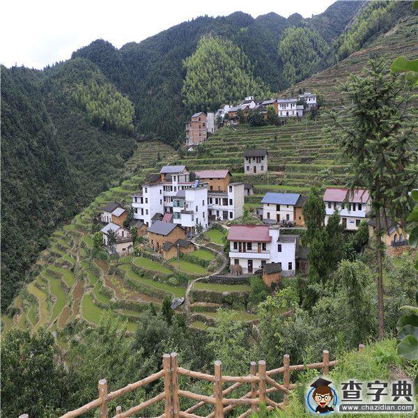 浙江樹人大學人文學院“精神探訪”暑期走進“醉美”開化6