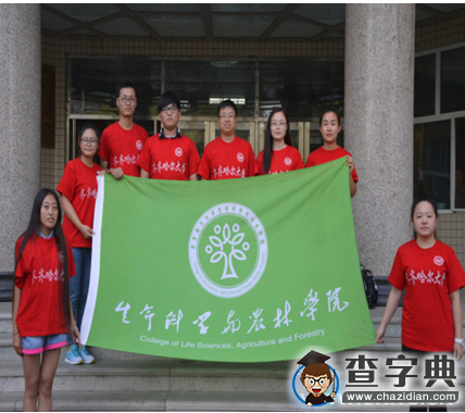 齊齊哈爾大學2015年暑期“三下鄉”社會實踐活動圓滿結束7