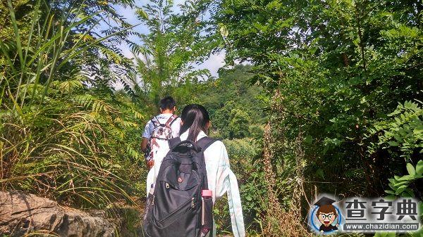 感受生命，保護奇跡——記地大七營百村實踐團恩施行1