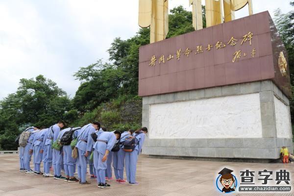 藝苑菁英在井岡山革命烈士陵園緬懷先烈1