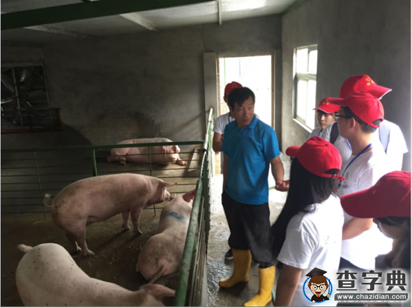 江蘇農牧學院：跨過長江，調研蘇南地區畜牧業發展現狀4