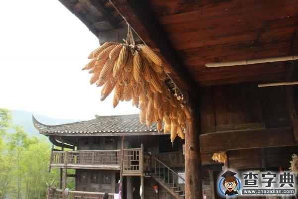 京城學子深入巴蜀 探尋仡佬千年文化1