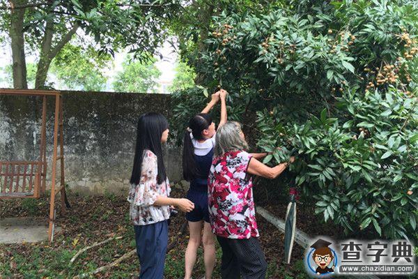 廣東醫學院之盛夏奇緣4