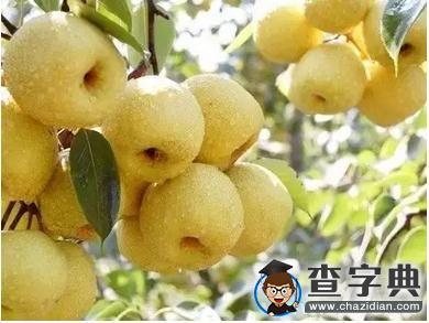 寒假回家必備討好吃貨清單5