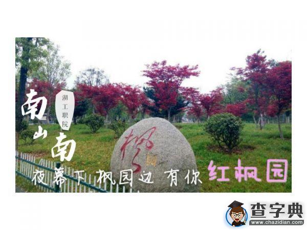 湖工職院版《南山南》火熱來襲9